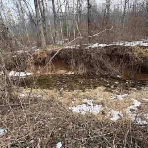 Photo #33 of PERKINS HOLLOW LN, FABER, VA 42.7 acres