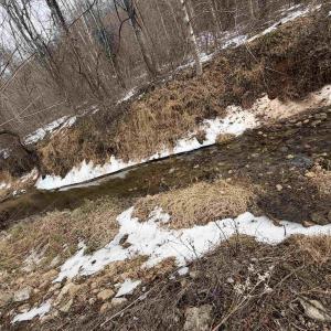 Photo #34 of PERKINS HOLLOW LN, FABER, VA 42.7 acres