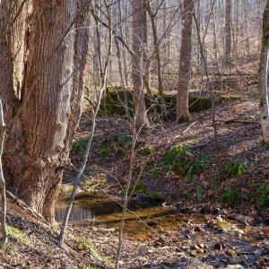 Photo #10 of PERKINS HOLLOW LN, FABER, VA 42.7 acres