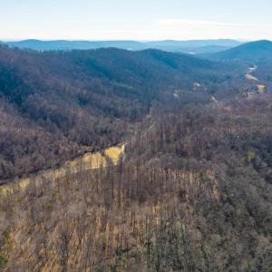 Photo #19 of PERKINS HOLLOW LN, FABER, VA 42.7 acres