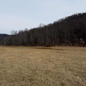 Photo #29 of PERKINS HOLLOW LN, FABER, VA 42.7 acres