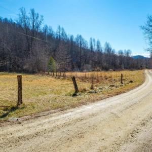 Photo #9 of PERKINS HOLLOW LN, FABER, VA 42.7 acres