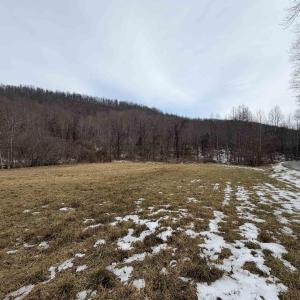 Photo #26 of PERKINS HOLLOW LN, FABER, VA 42.7 acres