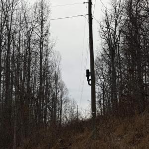 Photo #35 of PERKINS HOLLOW LN, FABER, VA 42.7 acres