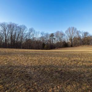 Photo #14 of TBD2 JERICHO RD, FISHERSVILLE, VA 3.6 acres