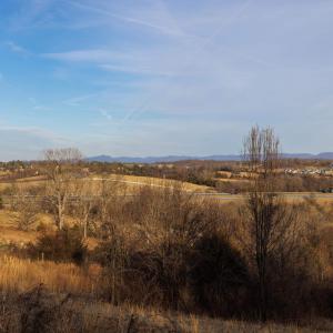 Photo #19 of TBD2 JERICHO RD, FISHERSVILLE, VA 3.6 acres