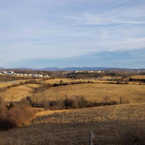 Photo #20 of TBD2 JERICHO RD, FISHERSVILLE, VA 3.6 acres