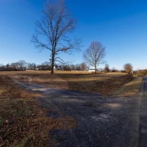 Photo #8 of TBD2 JERICHO RD, FISHERSVILLE, VA 3.6 acres