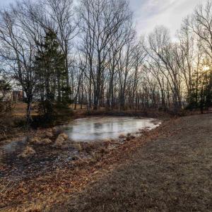Photo #11 of TBD2 JERICHO RD, FISHERSVILLE, VA 3.6 acres