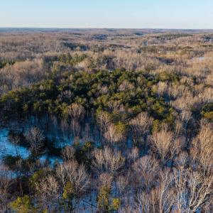 Photo #19 of TBD MILES JACKSON RD, PALMYRA, VA 16.8 acres