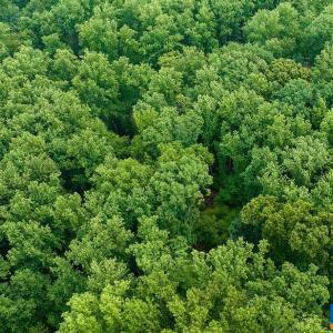 Photo #5 of 680 HIGHTOP DR, NORTH GARDEN, VA 2.8 acres