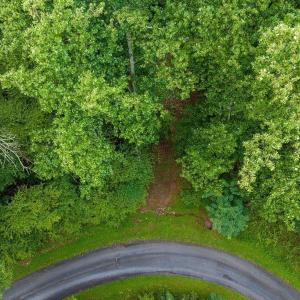 Photo #16 of 680 HIGHTOP DR, NORTH GARDEN, VA 2.8 acres