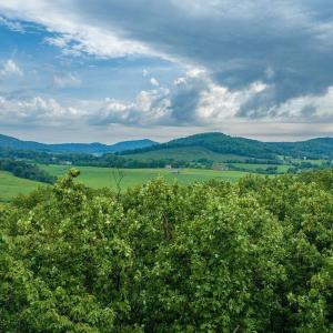 Photo #7 of 680 HIGHTOP DR, NORTH GARDEN, VA 2.8 acres