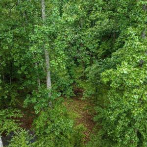 Photo #17 of 680 HIGHTOP DR, NORTH GARDEN, VA 2.8 acres