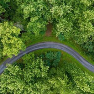 Photo #15 of 680 HIGHTOP DR, NORTH GARDEN, VA 2.8 acres