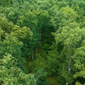 Photo #19 of 680 HIGHTOP DR, NORTH GARDEN, VA 2.8 acres