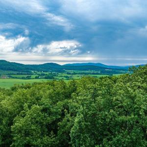 Photo #6 of 680 HIGHTOP DR, NORTH GARDEN, VA 2.8 acres