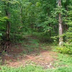 Photo #20 of 680 HIGHTOP DR, NORTH GARDEN, VA 2.8 acres