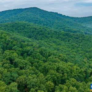 Photo #3 of 680 HIGHTOP DR, NORTH GARDEN, VA 2.8 acres