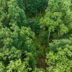 Photo #18 of 680 HIGHTOP DR, NORTH GARDEN, VA 2.8 acres