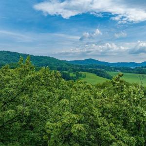 Photo #8 of 680 HIGHTOP DR, NORTH GARDEN, VA 2.8 acres