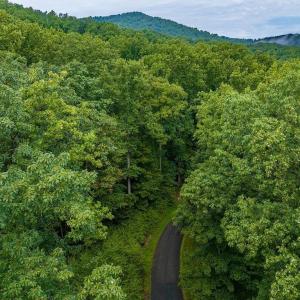 Photo #14 of 680 HIGHTOP DR, NORTH GARDEN, VA 2.8 acres