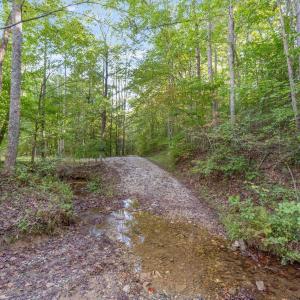 Photo #10 of MAYO CREEK LN, WINGINA, VA 30.0 acres