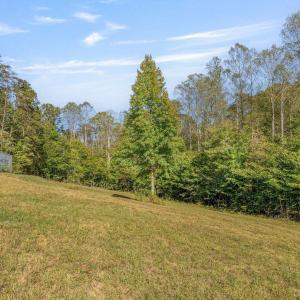 Photo #8 of MAYO CREEK LN, WINGINA, VA 30.0 acres