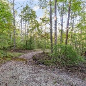 Photo #18 of MAYO CREEK LN, WINGINA, VA 30.0 acres