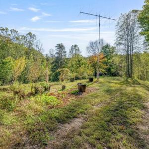 Photo #14 of MAYO CREEK LN, WINGINA, VA 30.0 acres