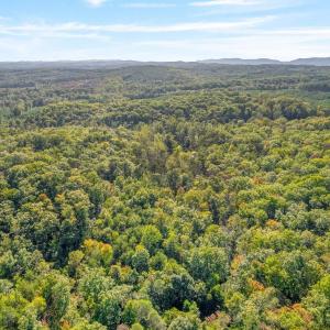 Photo #3 of MAYO CREEK LN, WINGINA, VA 30.0 acres