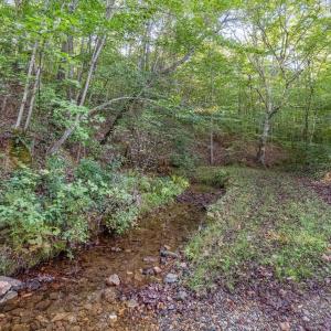 Photo #9 of MAYO CREEK LN, WINGINA, VA 30.0 acres