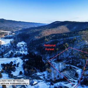 Photo #8 of 17654 RUSTY RIDGE RD, BROADWAY, VA 2.9 acres