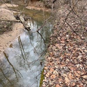 Photo #2 of OLD SAND RD, OLD DOMINION, VA 9.0 acres