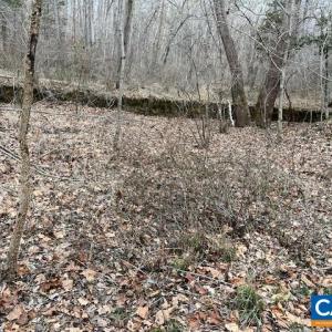 Photo #1 of OLD SAND RD, OLD DOMINION, VA 9.0 acres