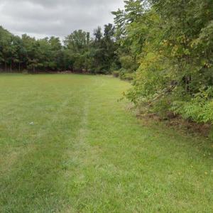 Photo #2 of TBD WHITE BRIDGE RD, WAYNESBORO, VA 2.4 acres