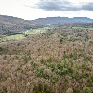 Photo #1 of Lot 2 RUNIONS CREEK RD, BROADWAY, VA 37.6 acres