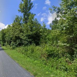 Photo #7 of Lot 25 TWENTY TWO RD, PAMPLIN, VA 10.1 acres