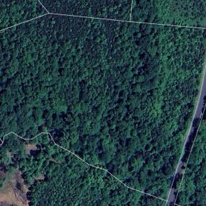 Photo #13 of Lot 25 TWENTY TWO RD, PAMPLIN, VA 10.1 acres