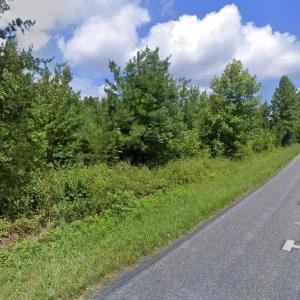 Photo #8 of Lot 25 TWENTY TWO RD, PAMPLIN, VA 10.1 acres
