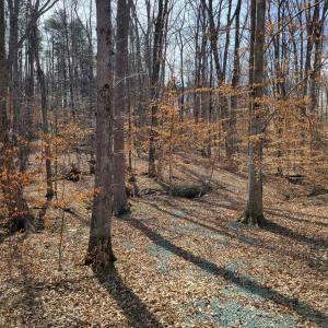 Photo #3 of LEXIE LN, PALMYRA, VA 14.3 acres