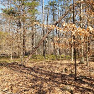 Photo #10 of LEXIE LN, PALMYRA, VA 14.3 acres