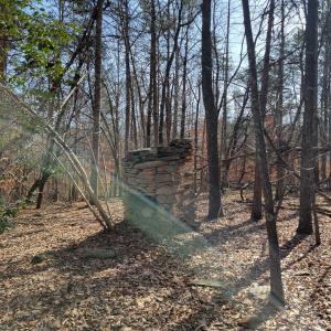 Photo #8 of LEXIE LN, PALMYRA, VA 14.3 acres