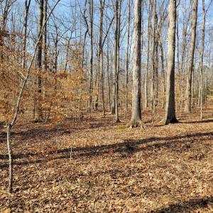 Photo #4 of LEXIE LN, PALMYRA, VA 14.3 acres