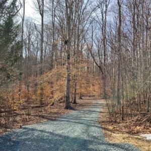 Photo #2 of LEXIE LN, PALMYRA, VA 14.3 acres