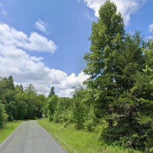 Photo #5 of Lot 25 & 11 TWENTY TWO RD, PAMPLIN, VA 17.3 acres