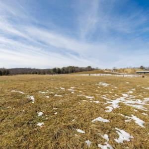 Photo #6 of 14.07 ac CREEK BED LN, FULKS RUN, VA 14.1 acres