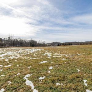 Photo #5 of 14.07 ac CREEK BED LN, FULKS RUN, VA 14.1 acres