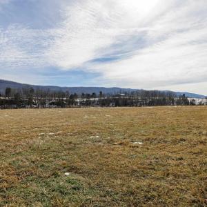 Photo #1 of 14.07 ac CREEK BED LN, FULKS RUN, VA 14.1 acres
