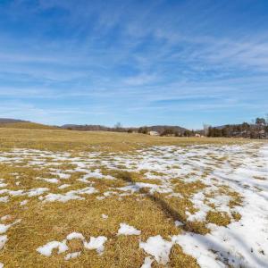 Photo #4 of 14.07 ac CREEK BED LN, FULKS RUN, VA 14.1 acres